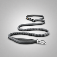 Hands-Free Dog Leash