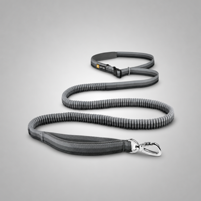 Hands-Free Dog Leash